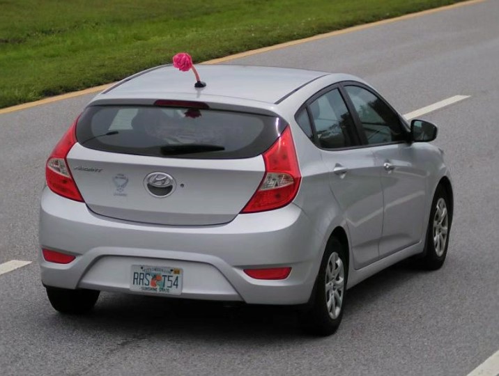 Smith and her vehicle